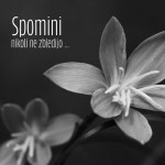 Nagrobna sveča Premium črno-bela Spomini nikoli ne zbledijo ...